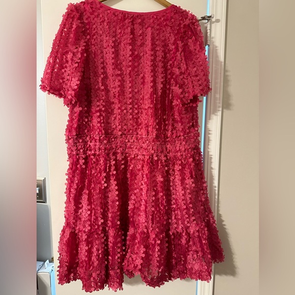 Anthropologie Somerset Floral Applique Dress- 3X - Picture 5 of 5